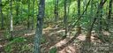 Lot 71 Serpentine Drive sold home in Columbus, SC