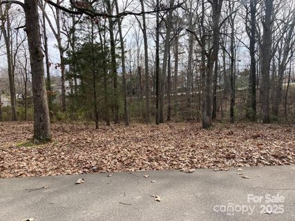 118a Cherokee Lane sold lot in Rushing Park, Indian Trail, NC
