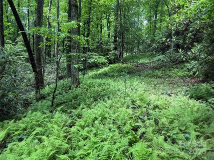 Tbd Caroline Lane active lot in Middlemount, Pisgah Forest, NC