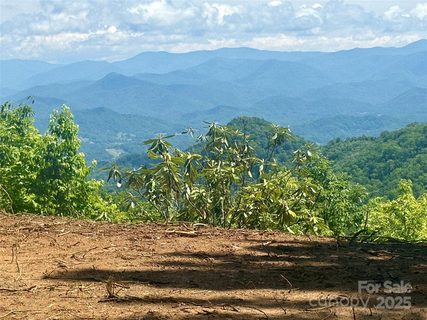 0 Middle Ridge sold home in Coppermine Ridge, Whittier, NC