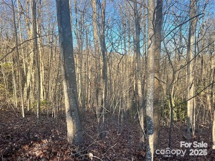 129 Pinnacle Peak Lane active home in Kenmure, Flat Rock, NC