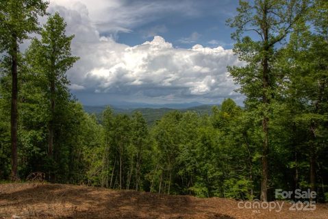 436 Bella Vista Court sold home in Cliffs Valley North, Zirconia, NC