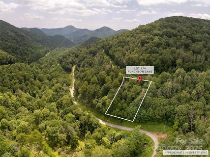 000 Puncheon Lane active home in Wolf Laurel, Mars Hill, NC