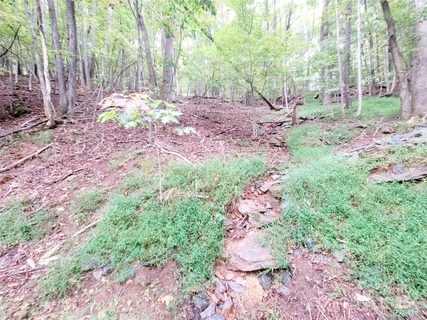 47 Sourwood Drive active home in High Vista, Mills River, NC