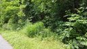 830 Cove Creek Lane sold home in Weaverville, SC