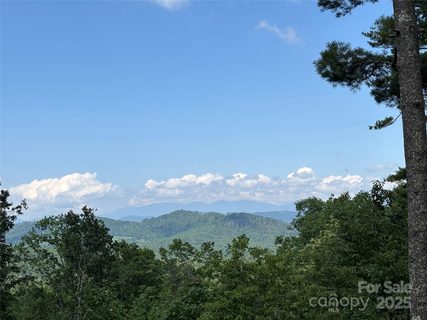 151 Wipprecht Drive sold home in Humpback Mountain Estates, Spruce Pine, NC