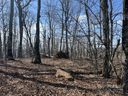 389 Mckinney Gap Road sold home in Mars Hill, SC