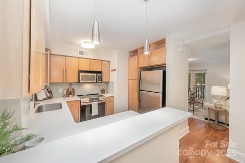 207 N Dotger Avenue sold home in The Grove, Charlotte, NC