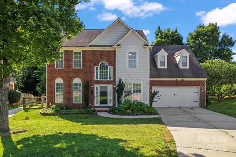 8000 Pelorus Lane