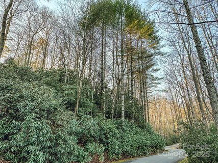 D17 Caroline Lane pending lot in Middlemount, Pisgah Forest, NC