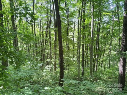 00 Slippery Rock Road sold home in Cataloochee Ranch Estates, Waynesville, NC