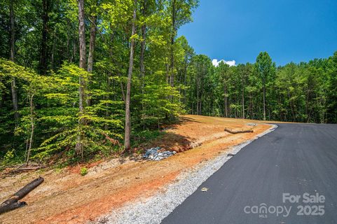 00 Oak Hill Court sold home in The Oaks At Forney Hill, Denver, NC