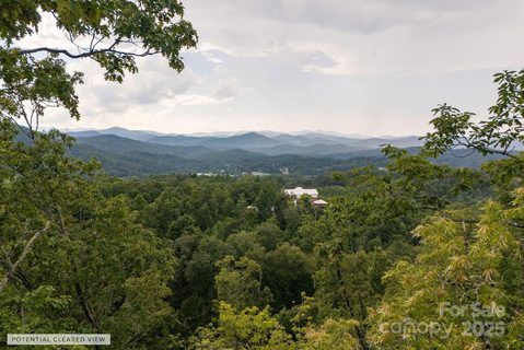Homes in Masterpiece Ridge, Hendersonville