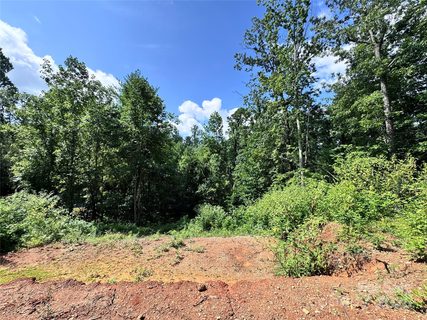 7 Winter Hawk Drive sold lot in Winterhawk, Arden, NC