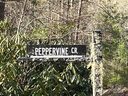 0000 Peppervine Circle sold home in Rosman, SC
