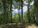 402 High Line Road sold home in Sylva, SC