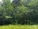 Lt 24 Llewellin Lane sold home in Whittier, SC