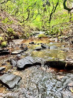 0 Travelers Rest Lane sold home in Grassy Knob Acres, Rutherfordton, NC