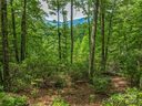 72 Smokey Ridge Trail sold home in Arden, SC