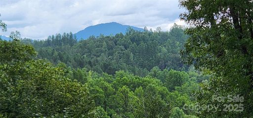 Homes in Mountain Laurel Estates, Mill Spring