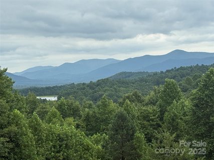 166 Coal Pit Mountain Drive active home in Grandview Peaks, Nebo, NC