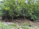 0 Woodchuck Lane sold home in Marion, SC