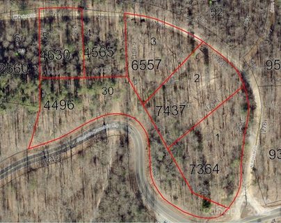 Homes in Ann Mountain Estates, Zirconia