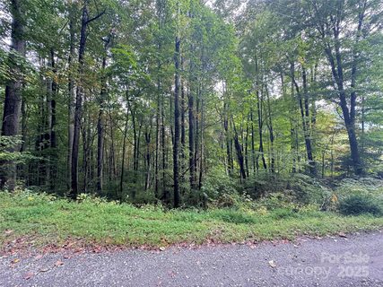 Homes in Balsam Forest, Waynesville