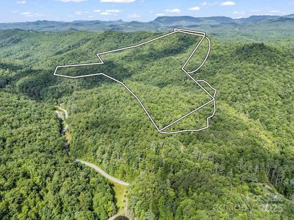 Tbd Frozen Creek Road active land listing in Oak Laurel, Brevard, NC