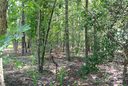 Lot 32 Whispering Pines Circle sold home in Forest City, SC