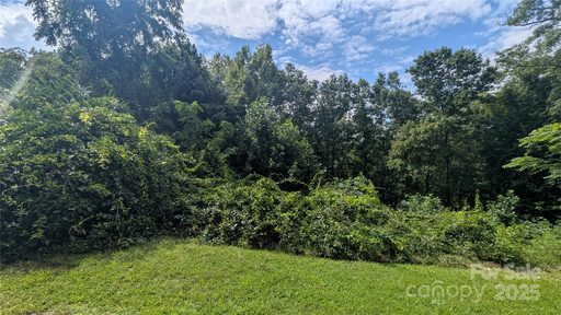 Homes in Pine Wood Heights, Waynesville