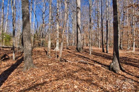 0 Cinnamon Ridge active home in Clearwater Creek, Rutherfordton, NC