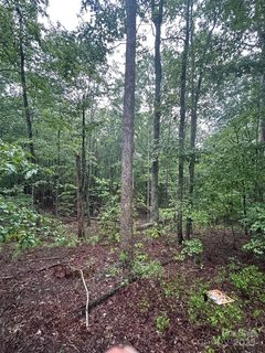 90 Adirondack Trail