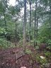 90 Adirondack Trail sold home in Nebo, SC