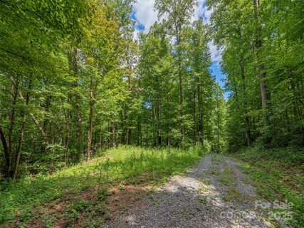 000 Flowing Brook Lane sold lot in Summer Walk, Waynesville, NC
