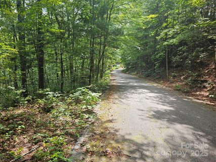 99999 Majestic Trace active home in Pinnacle Mountain View, Hendersonville, NC