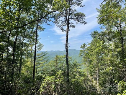 Tbd Morgan Drive sold land listing in Spirit Of The Mountains, Penrose, NC