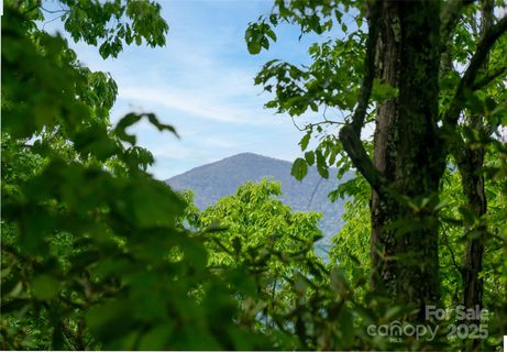 1111 Elm Tree Lane sold home in High Hickory, Swannanoa, NC