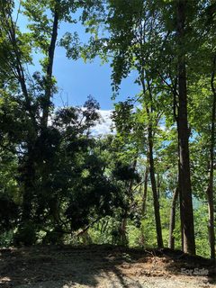 0 Winesap Boulevard active home in Apple Valley, Lake Lure, NC