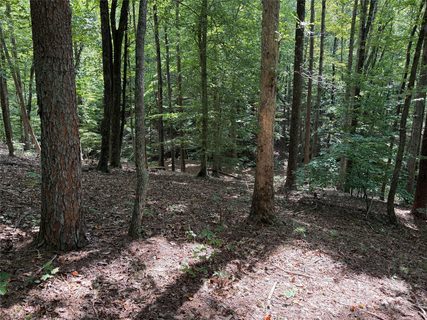 0 Mountain Brook Trail active home in Grandview Peaks, Nebo, NC