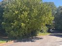 1541 1531 9th Street Lane sold home in Hickory, SC