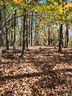 0 Mountain Lookout Drive sold home in Bostic, SC