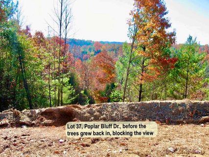 3 31 Acres Lot 37 Poplar Bluff Drive active lot in The Coves Mountain River Club, Lenoir, NC