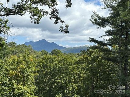 Tbd Linhigh Drive active home in Linville Heights, Newland, NC
