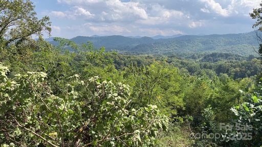 4 Summit View Drive active lot in The Summit Of Asheville, Canton, NC