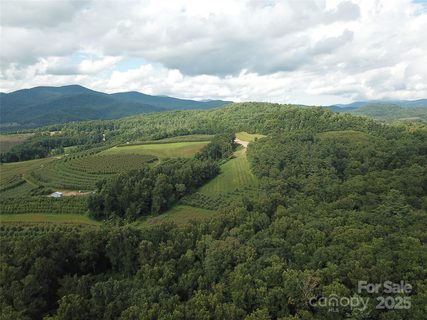 0 Pounding Mill None active home in Bearwallow Glen, Hendersonville, NC