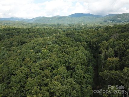 7 Pounding Mill None active home in Bearwallow Glen, Hendersonville, NC