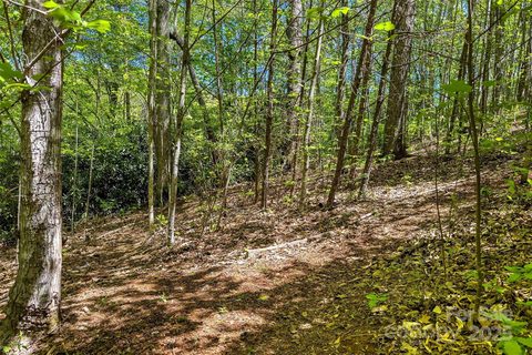 Tbd Hunting Lodge Drive active home in Hunting Lodge Acres, Black Mountain, NC