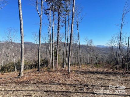 Lot 59 Mountain Grove Lane active home in Couch Mountain, Fletcher, NC