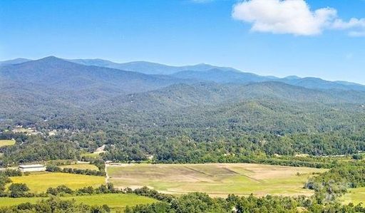 Homes in The Reserve, Pisgah Forest